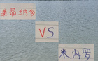 申花米內(nèi)羅VS海港萊昂納多，巴西外援誰更出色？