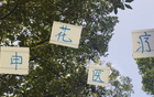 申花醫(yī)療投資見(jiàn)效，除阿馬杜外，隊(duì)員快速恢復(fù)。