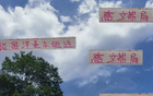 張玉寧高天意，國安申花精英；留洋進國家隊，實力非凡。