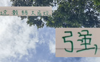 強(qiáng)觀大局！國安主帥輪換險(xiǎn)致敗，但優(yōu)于一成不變陣容。