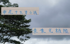 申花19歲小將國(guó)家隊(duì)表現(xiàn)亮眼，聯(lián)賽進(jìn)3球，超越米內(nèi)羅。