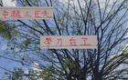 中超三巨頭現(xiàn)役，誰為真刀鋒？海港張琳芃，申花蔣圣龍。