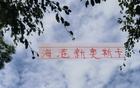 海港迎奧斯卡，非巴西11號。
