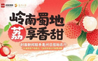 國(guó)足行李多疑，開(kāi)箱解惑封面評(píng)