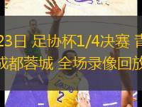 07月23日 足協(xié)杯1/4決賽 青島海牛vs成都蓉城 全場錄像回放