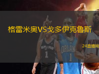 格雷米奧VS戈多伊克魯斯