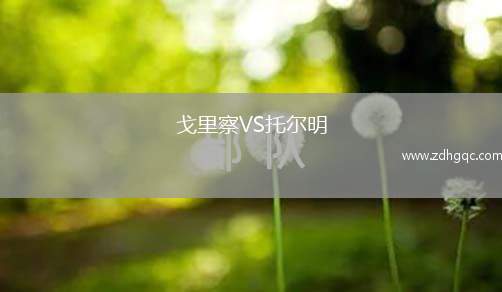 摩德納VS布雷西亞