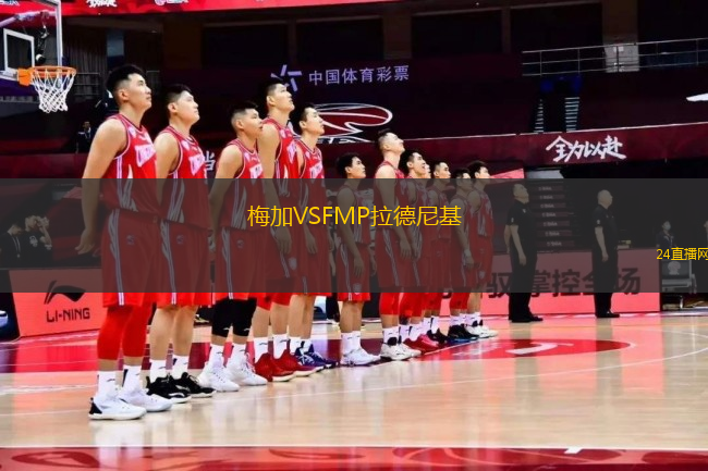 梅加VSFMP拉德尼基
