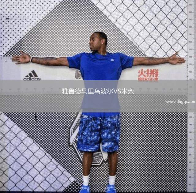 威爾士VS列支敦士登