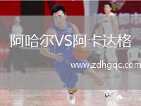 GBK科科拉VSTP47