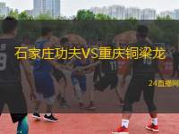 石家莊功夫VS重慶銅梁龍