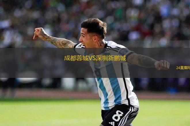 成都蓉城VS深圳新鵬城